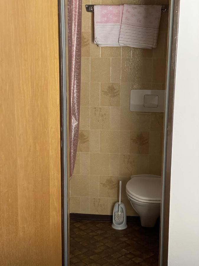 ビーバーヴィアーHaus Gruensteinアパートメント エクステリア 写真