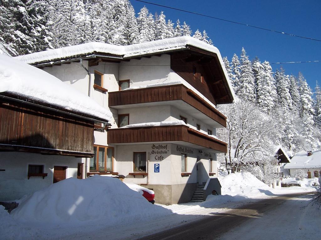 ビーバーヴィアーHaus Gruensteinアパートメント エクステリア 写真